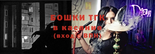 прущий лед Карпинск