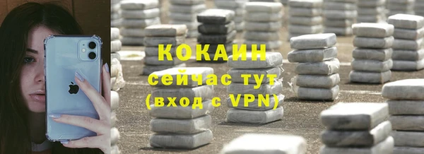 СК Зерноград