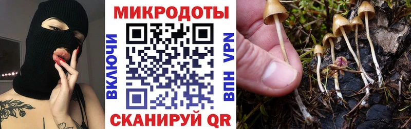 Псилоцибиновые грибы прущие грибы  Валдай 